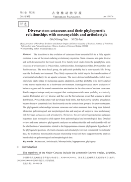 Diverse Stem Cetaceans and Their Phylogenetic Relationships with Mesonychids and Artiodactyls