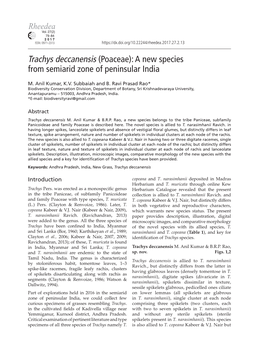 Trachys Deccanensis (Poaceae): a New Species from Semiarid Zone of Peninsular India