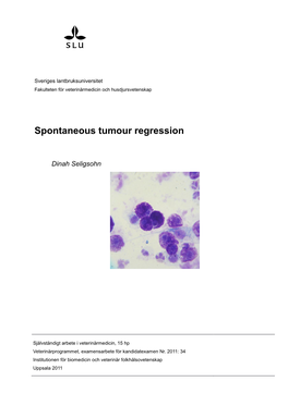 Spontaneous Tumour Regression