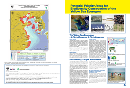 Potential Priority Areas for Biodiversity Conservation of the Yellow Sea Ecoregion