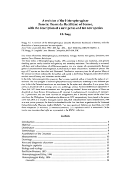 A Revision of the Heteropteryginae (Insecta: Phasmida: Bacillidae) of Borneo, with the Description of a New Genus and Ten New Species