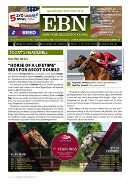 USBRED EUROPEAN BLOODSTOCK NEWS Brave Anna