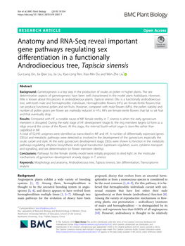 Anatomy and RNA-Seq Reveal Important Gene