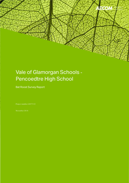 Vale of Glamorgan Schools - Pencoedtre High School