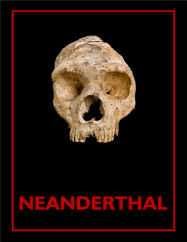 Neanderthal MAY2017 RTB Group Talk