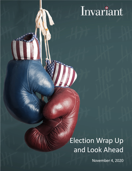 Election Wrap up and Look Ahead