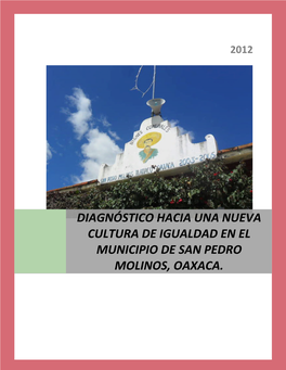 Diagnóstico Hacia Una Nueva Cultura De Igualdad En El Municipio De San Pedro Molinos, Oaxaca. C