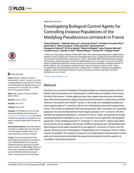 Investigating Biological Control Agents for Controlling Invasive Populations of the Mealybug Pseudococcus Comstocki in France