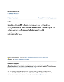 Identificación De Mycobacterium Sp., En Una Población