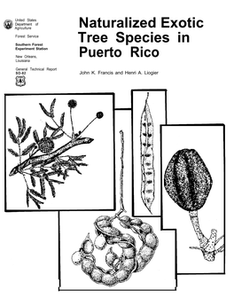 Naturalized Exotic Tree Species in Puerto Rico