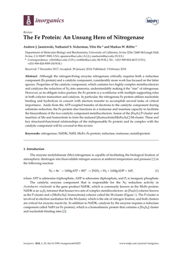 The Fe Protein: an Unsung Hero of Nitrogenase