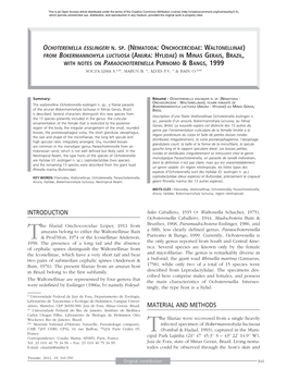 From Bokermannohyla Luctuosa (Anura: Hylidae) in Minas Gerais, Brazil, with Notes on Paraochoterenella Purnomo & Bangs, 1999 Souza Lima S.*,**, Marun B