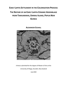 The Nature of an Early Lapita Ceramic Assemblage from Tamuarawai, Emirau Island, Papua New Guinea