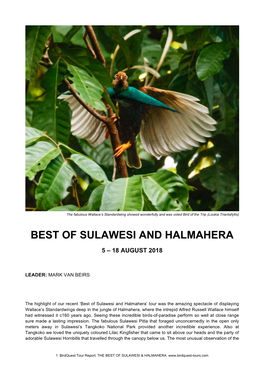 Best of Sulawesi and Halmahera