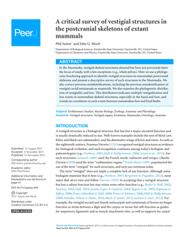 A Critical Survey of Vestigial Structures in the Postcranial Skeletons of Extant Mammals Phil Senter1 and John G