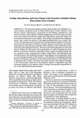 Halocaridina Rubra (Atyidae)1