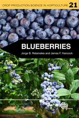 BLUEBERRIES Jorge B