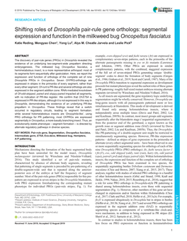 Pair-Rule Gene Orthologs: Segmental Expression and Function in the Milkweed Bug Oncopeltus Fasciatus Katie Reding, Mengyao Chen*, Yong Lu‡, Alys M