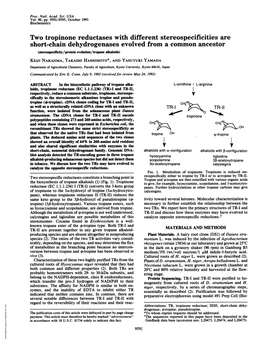 Two Tropinone Reductases with Different Stereospecificities Are Short