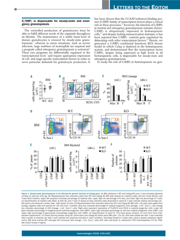 C/Ebpγ Is Dispensable for Steady-State and Emergency