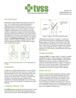 Femoral Head Ostectomy (FHO)