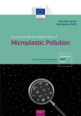 Environmental and Health Risks of Microplastic Pollution