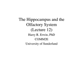 The Hippocampus and the Olfactory System (Lecture 12) Harry R