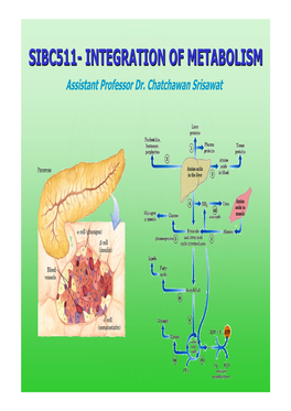 Sibc511- Integration of Metabolism