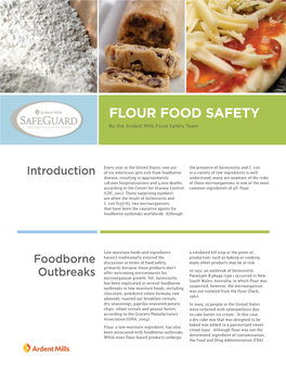 Flour Food Safety White Paper