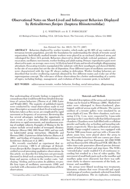 Observational Notes on Short-Lived and Infrequent Behaviors Displayed by Reticulitermes ﬂavipes (Isoptera: Rhinotermitidae)