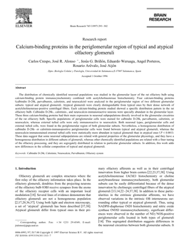 Calcium-Binding Proteins in the Periglomerular Region of Typical and Atypical Olfactory Glomeruli Carlos Crespo, Joseââäâ R