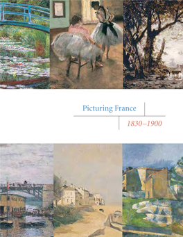 Picturing France 1830-1900