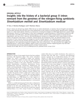 Insights Into the History of a Bacterial Group II Intron Remnant from the Genomes of the Nitrogen-Fixing Symbionts Sinorhizobium