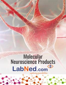 Labned.Com Neuroscience