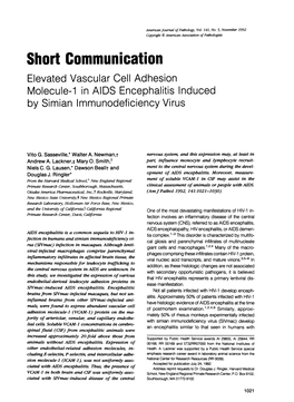 Elevated Vascular Cell Adhesion Molecule-1 in AIDS Encephalitis Induced by Simian Immunodeficiency Virus