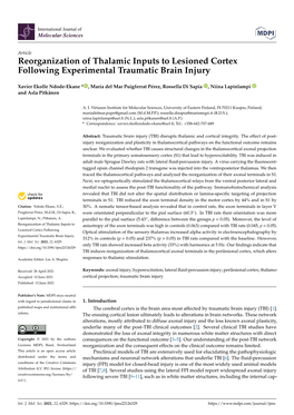 Reorganization of Thalamic Inputs to Lesioned Cortex Following Experimental Traumatic Brain Injury