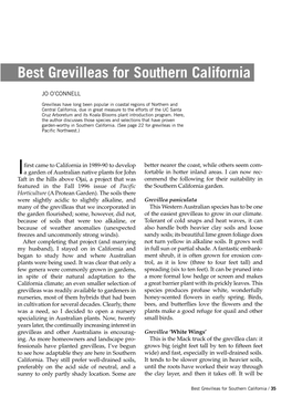 Best Grevilleas for Southern California