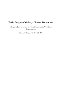 Early Stages of Galaxy Cluster Formation