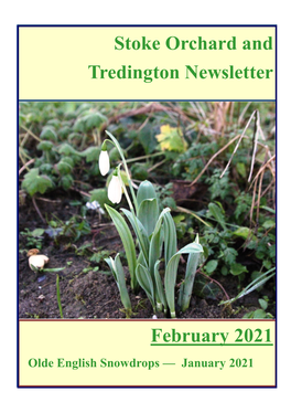 Stoke Orchard and Tredington Newsletter February 2021