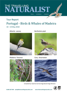 Portugal - Birds & Whales of Madeira 10 – 14 May 2018