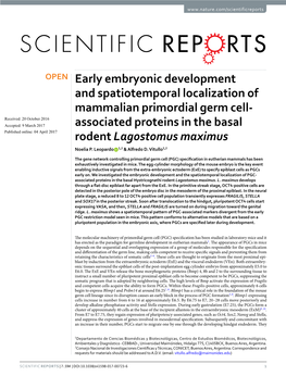 Early Embryonic Development and Spatiotemporal Localization Of