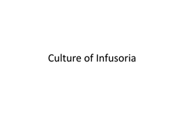 Culture of Infusoria