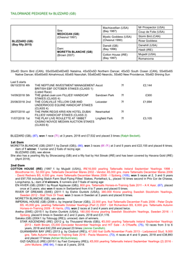 TAILORMADE PEDIGREE for BLIZZARD (GB)