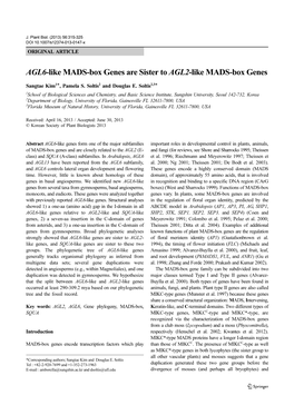 AGL6-Like MADS-Box Genes Are Sister to AGL2-Like MADS-Box Genes