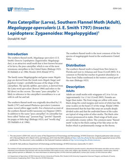 Puss Caterpillar (Larva), Southern Flannel Moth (Adult), Megalopyge Opercularis (J