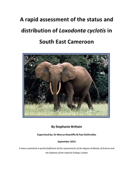 A Rapid Assessment of the Status and Distribution of Loxodonta Cyclotis in South East Cameroon