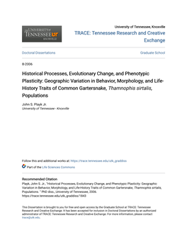 Historical Processes, Evolutionary Change, and Phenotypic Plasticity