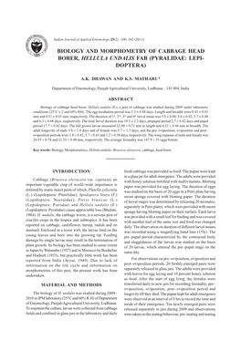 Biology and Morphometry of Cabbage Head Borer, Hellula Undalis Fab (Pyralidae: Lepi- Doptera)