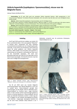 Zelleria Hepariella (Lepidoptera: Yponomeutidae), Nieuw Voor De Belgische Fauna