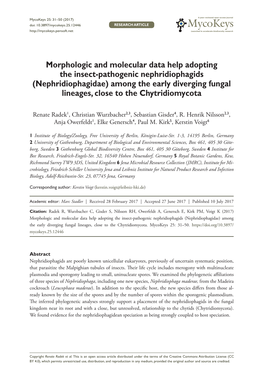 Morphologic and Molecular Data Help Adopting the Insect